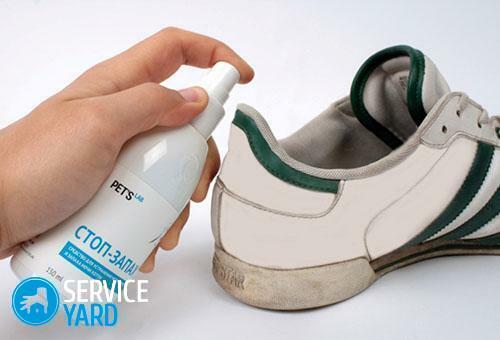 Hoe zich te ontdoen van de geur van kattenurine van schoenen?