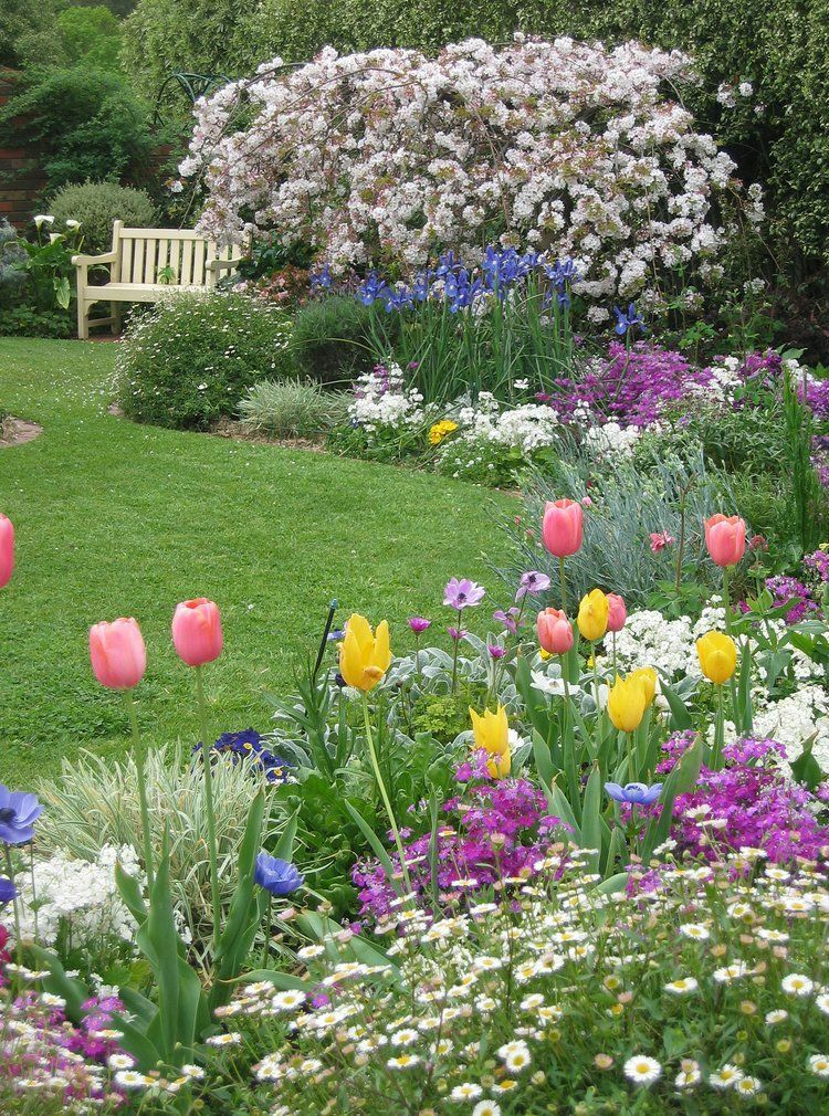 Gartenbeet mit Tulpen und anderen Blumen