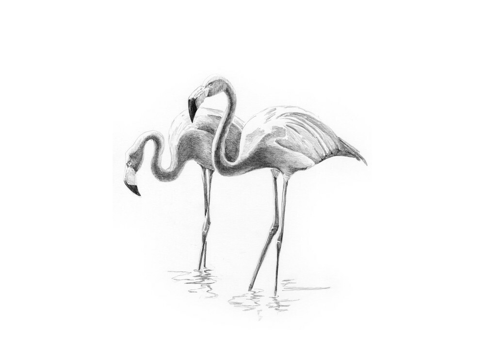 Flamingo skitseringssæt