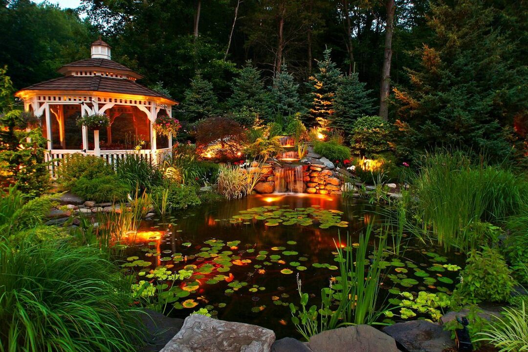 Güzel aydınlatmalı bahçe göleti