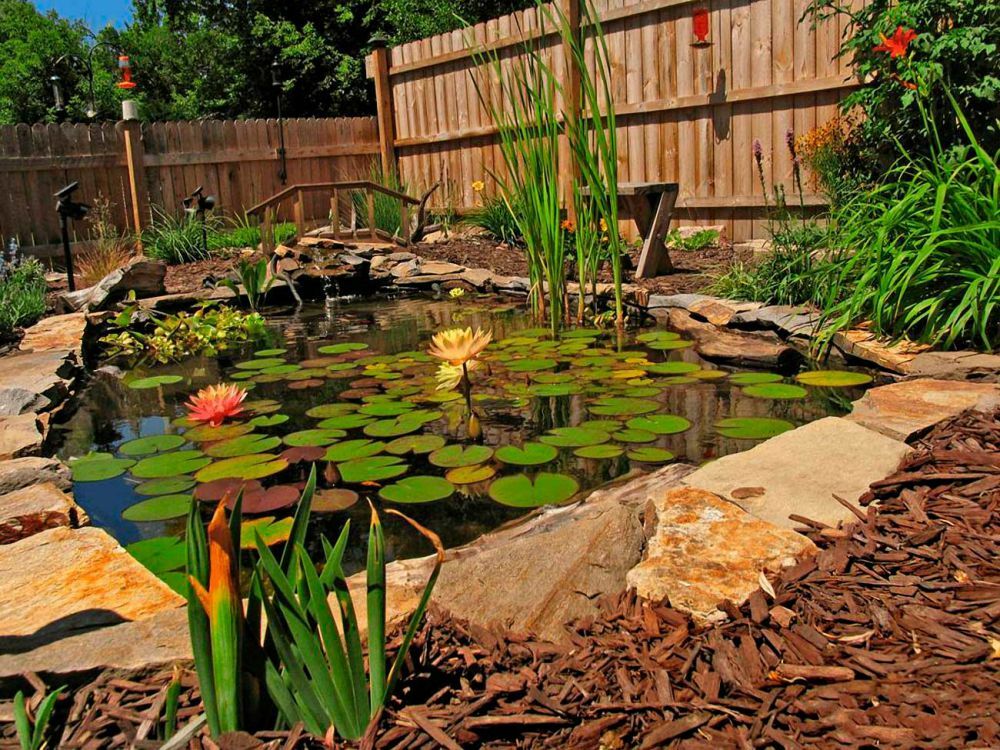 Garden pond with water lilies on a plot with a wooden fence
