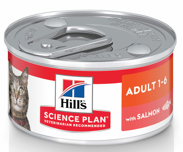 Hills Science Plan Feline Adult Optimal Care con salmón enlatado 0,082 kg