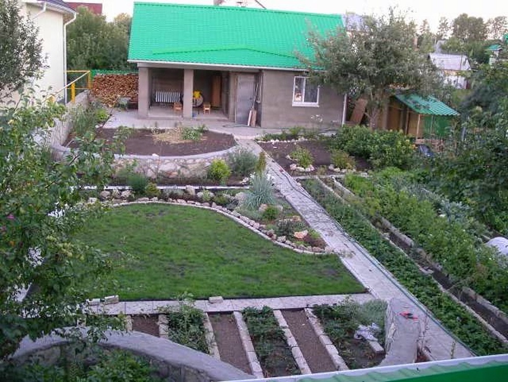 A neat vegetable garden in a small garden plot