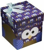 Owl gift box. Owls 12 * 12 * 13cm, decorative bow, cardboard 2801M
