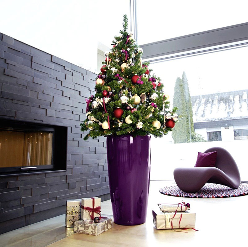 An excellent solution is to install an elegant beauty in a tall flowerpot, thus, all problems with decorating the spruce will be solved