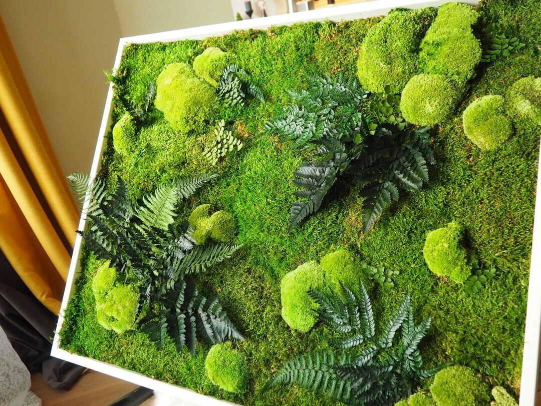 We make pictures of moss with our own hands +50 photos, and step-by-step examples