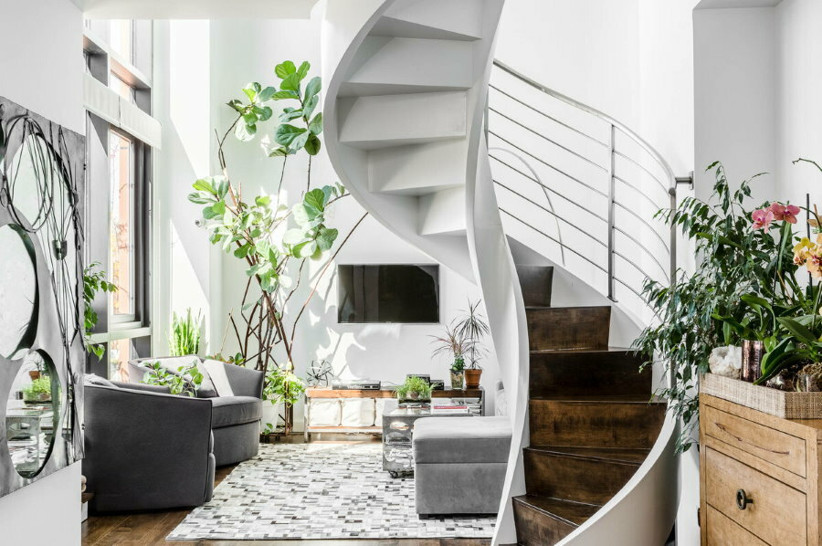 Gražūs spiraliniai laiptai gyvenamajame kambaryje su augalais