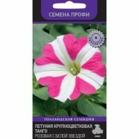 Samen von Petunia großblumig. Tango pink mit weißem Stern, 15 Stück