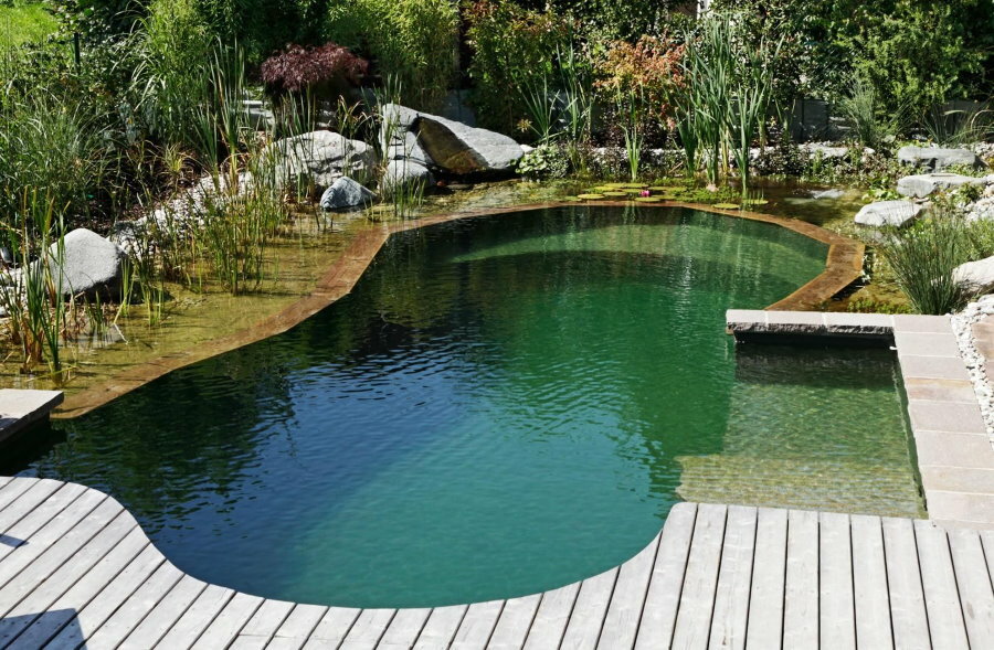 Swimming pond in the country with a convenient approach to the water