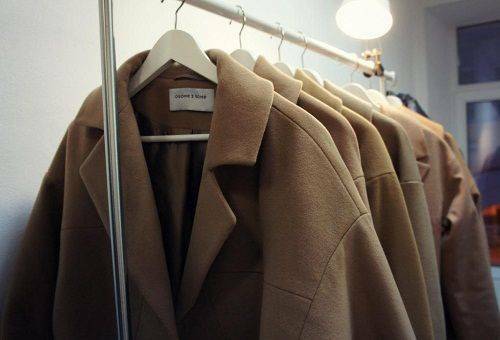 How to pat your coat at home: rules, recommendations, nuances