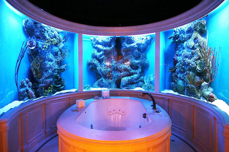 Disainilahendused koos diorama akvaariumitega on väga muljetavaldavad