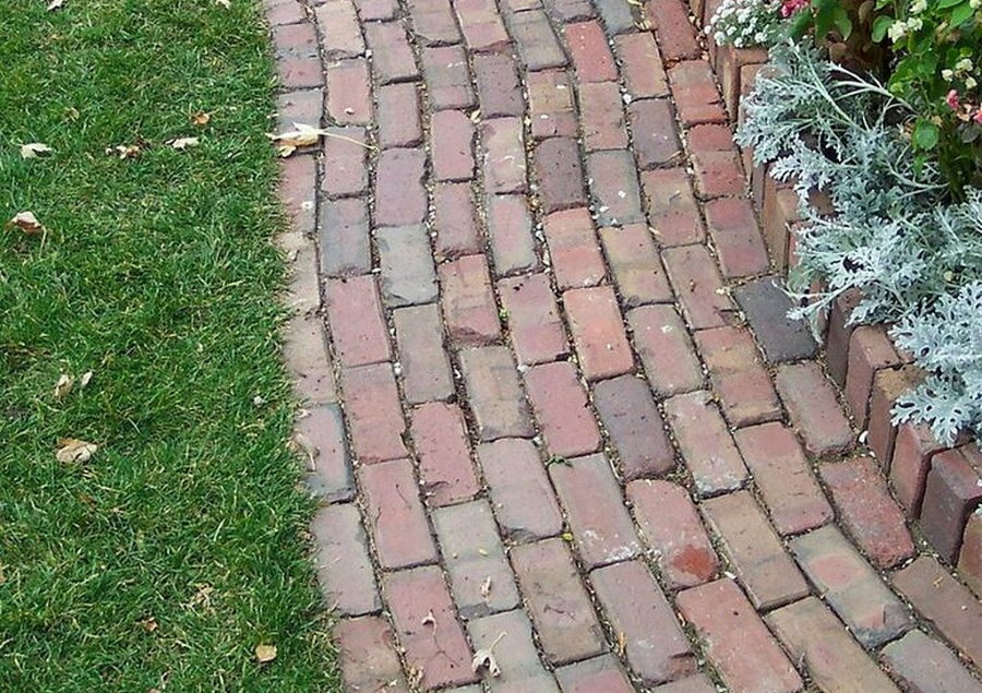 Garden path made of dark bricks