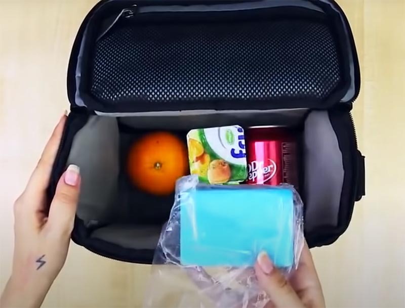 Pon las esponjas congeladas en una bolsa y ve de picnic en paz