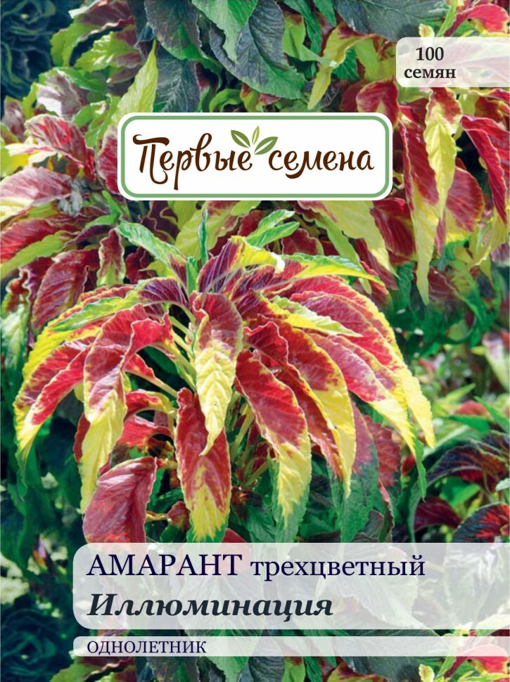 Kukansiemenet Ensimmäiset siemenet Amaranth tricolor Illumination, 0,1 g
