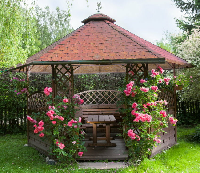 Kaunista suvise vaatetorni seinte roosidega