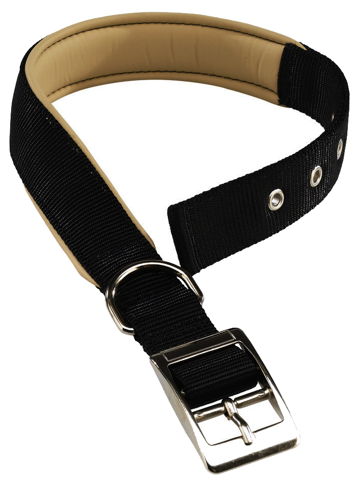 Halsband voor honden Ferplast DAYTONA Zwart 131106059