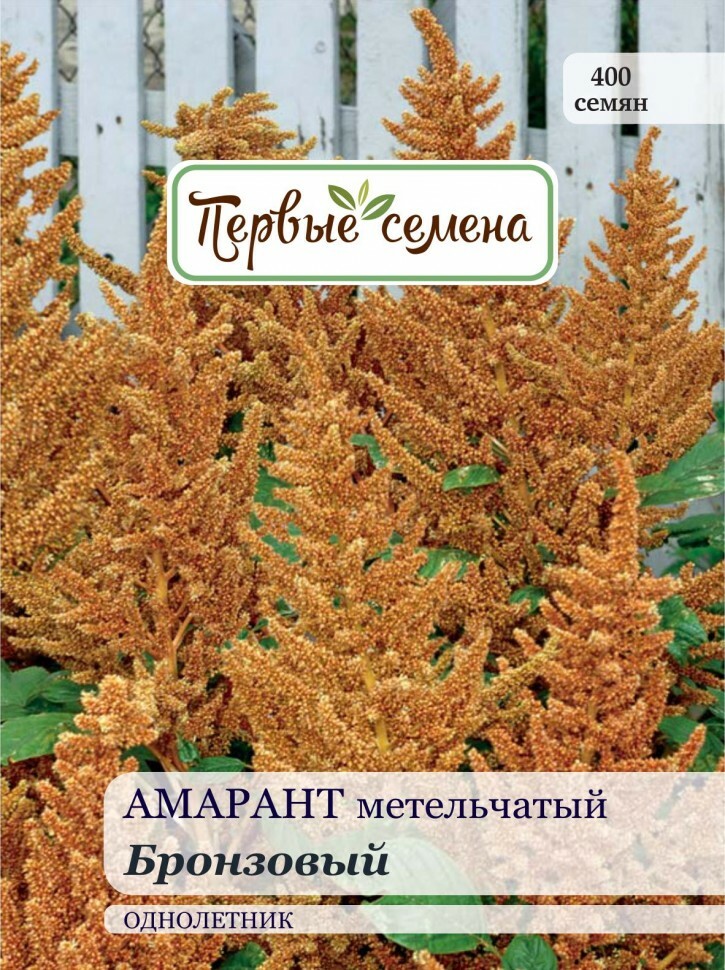 זרעי פרחים זרעים ראשונים Amaranth paniculata ברונזה, 0.3 גרם