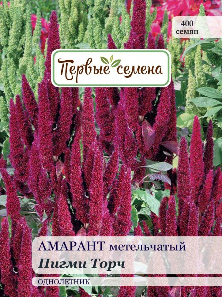 Lilleseemned Esimesed seemned Amaranth paniculata Pigmy Torch, 0,3 g
