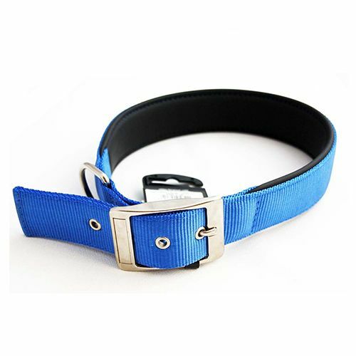 Halsband för hundar FERPLAST DAYTONA C25 / 53 nylon, blå