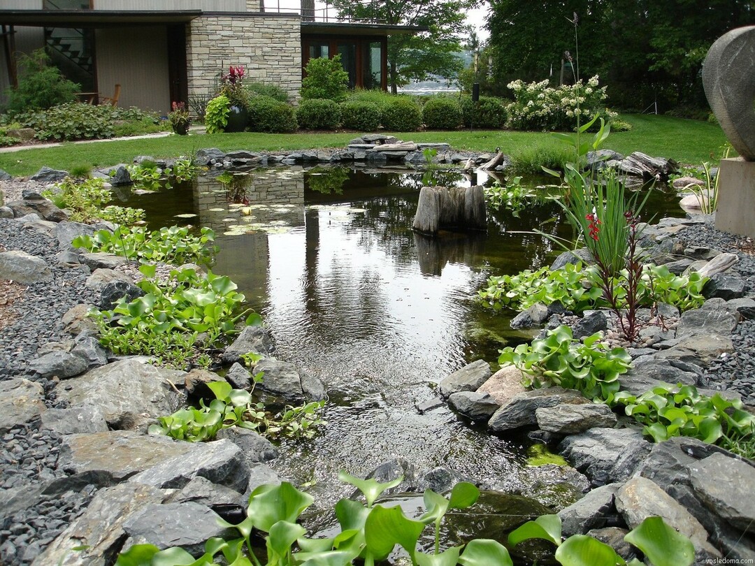 pond in the country design photo