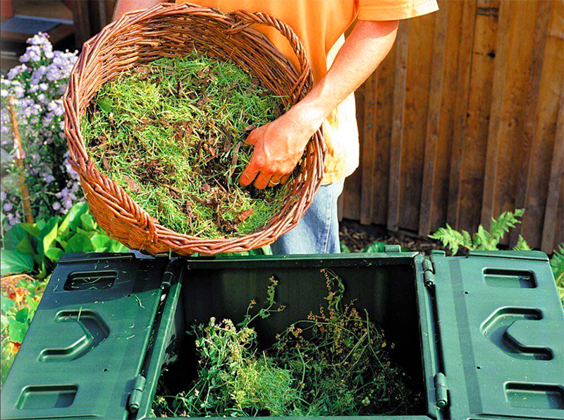 Ukrudt kan også sendes dertil, i kompost, kun uden rødder og frø. Vilde planter er så seje, at de er i stand til at forblive levedygtige i rådnende kompost.