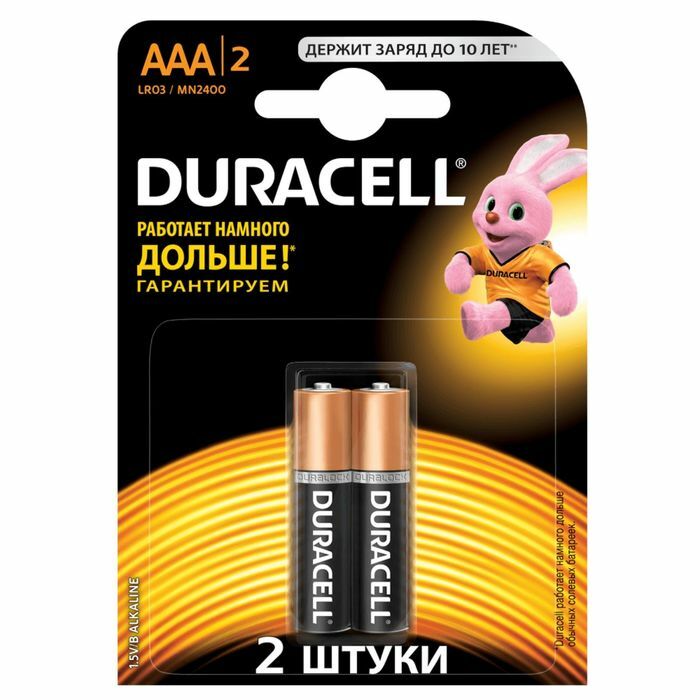 Šarminė baterija Duracell, AAA, LR03-2BL, lizdinė plokštelė, 2 vnt.