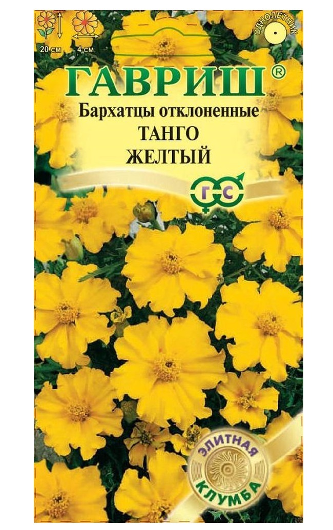 Semena měsíčku zavrženého Tango Yellow, 10 ks, Elite záhon Gavrish