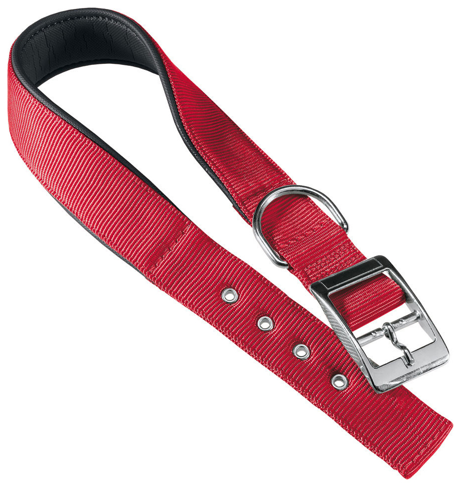 Halsbånd til hunde Ferplast DAYTONA 61-69 cm x 4 cm Rød