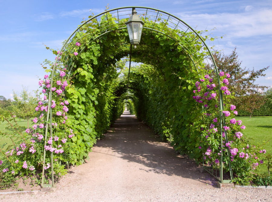 Garden alley made of metal arches