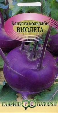 Zaden. Koolrabi Violeta kool (gewicht: 0,5 g)