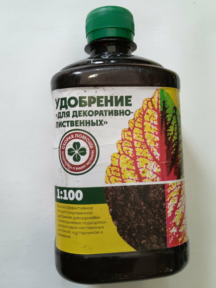 A bottle of bio-fertilizer for feeding willow in the country