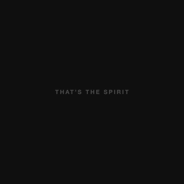 Zvukový disk Bring Me The Horizon That \ 's The Spirit (RU) (CD)