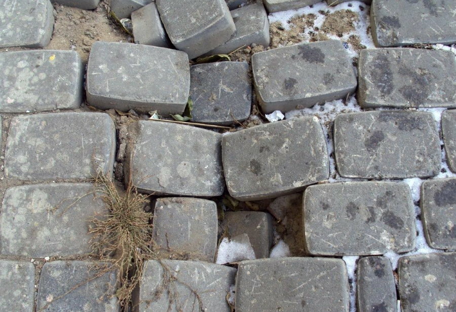Osídlení dlažebních kamenů na zahradní cestě