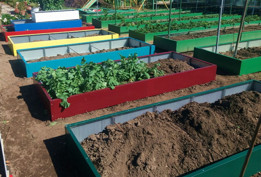 Filling metal beds with fertile soil