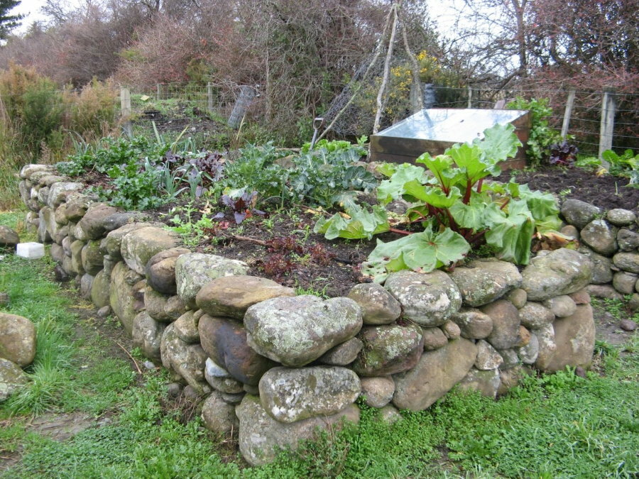 Akmens gulta ar dārzeņiem dārzā