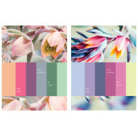 Cahier Business Color Evolution, A5, 80 feuilles, cellule
