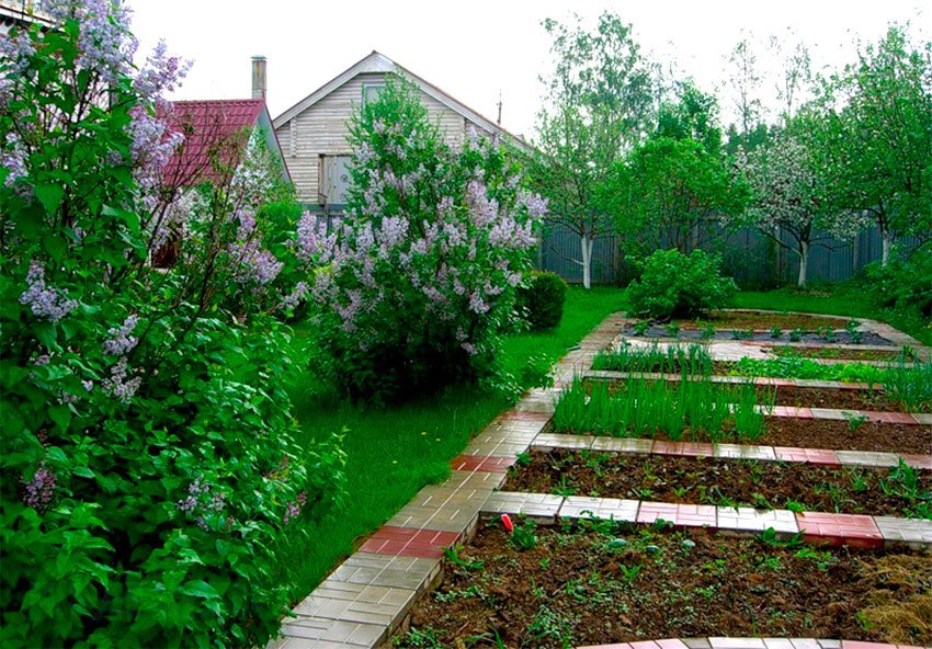 Horticultural beds in the garden area 6 hundredth