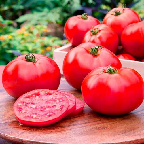 Framboesa Açucarada De Tomate