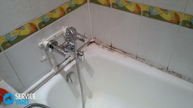 Svamp på badet - hvordan å fjerne?