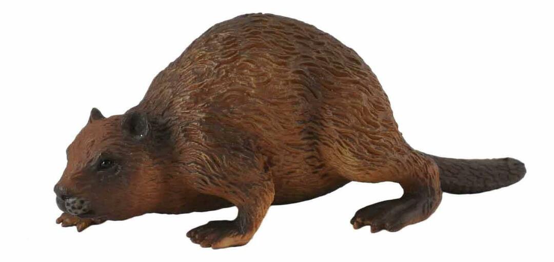 Figurine collecta beaver m 88382b