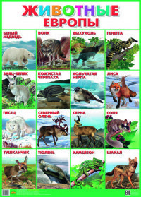 Animaux d'Europe. Affiche
