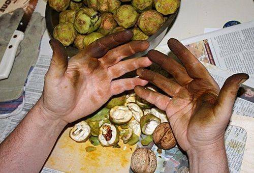 How to wash your hands of nuts quickly and without traces?