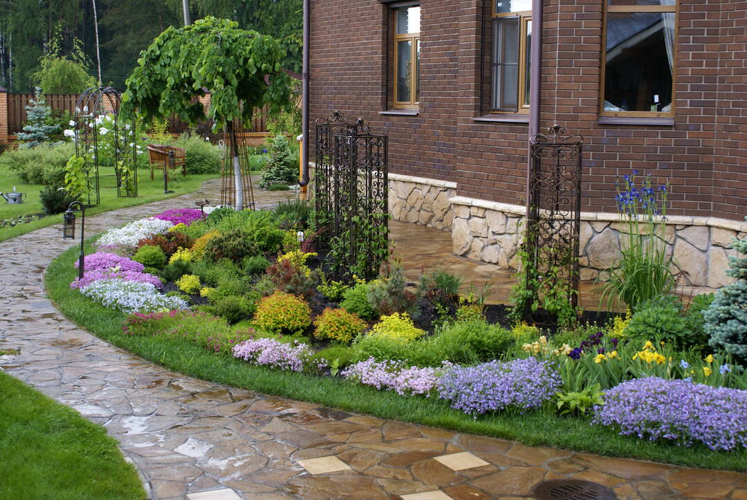 Plants in landscaping: a combination of flowers, shrubs and trees in the garden