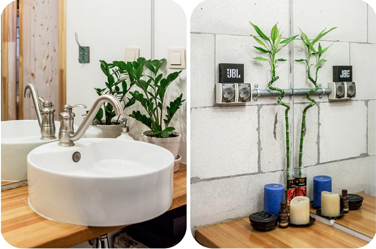 Small plants create homeliness in the room.