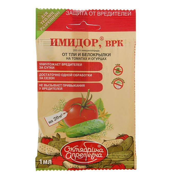 Remedio para plagas en plantaciones de pepinos y tomates \