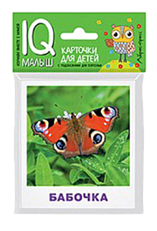 Family Board Game Iris Press Insects