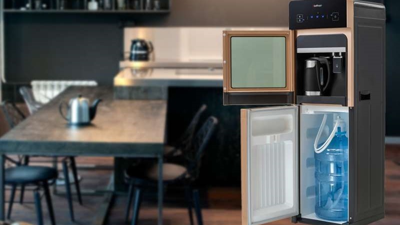 Hladilnik s hladilnikom: zunanji voda z mini zamrzovalnikom, pregled priljubljenih modelov