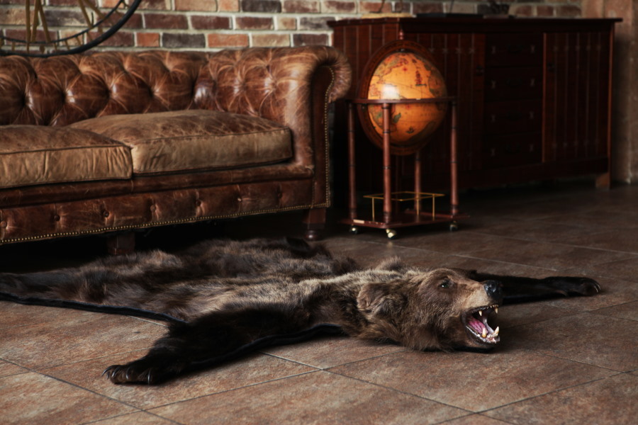 Pelle d'orso sul pavimento di un soggiorno in stile loft