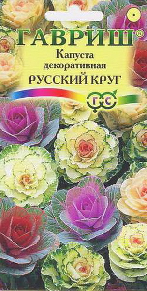 Semena Zelje okrasni ruski krog, Mešanica, 0,1 g, Gavrish