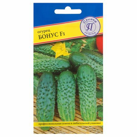 Seeds Cucumber " Bonus" F1